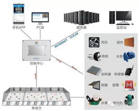 全面赋能 RFID解决方案中心引领物联网时代核心应用